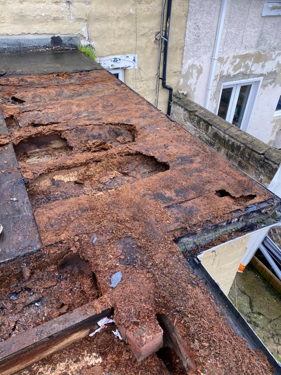 Damaged flat roof deck opened up for repair work